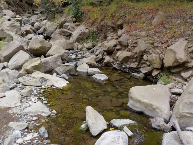 Stonybrook Creek 