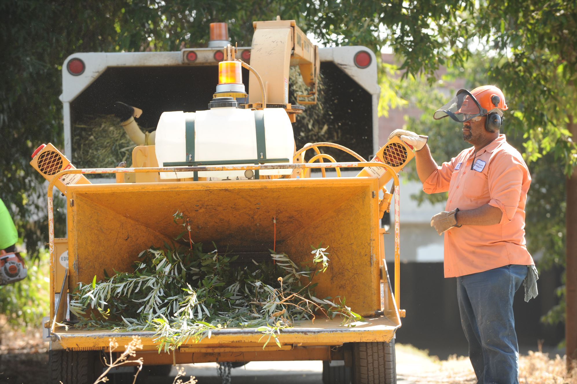Photo of a worker in a helmet and ear protection feeding vegetation debris into a chipper