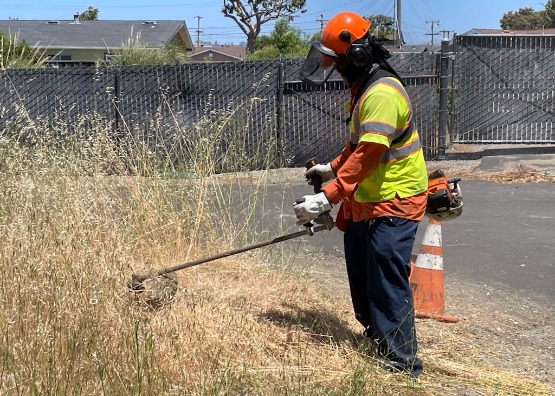 worker trimming weeds with weed trimmer