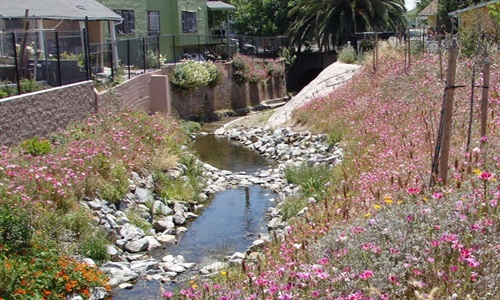 rocky creek bordered by pink and yellow wildflowers