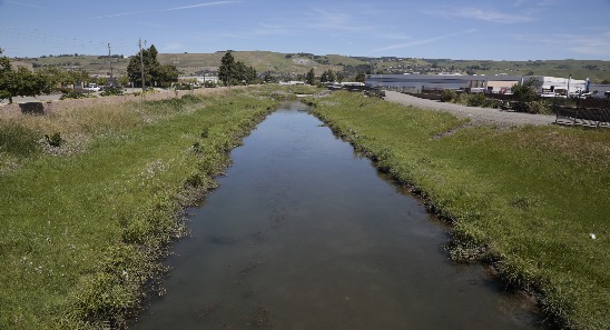 creek with green banks