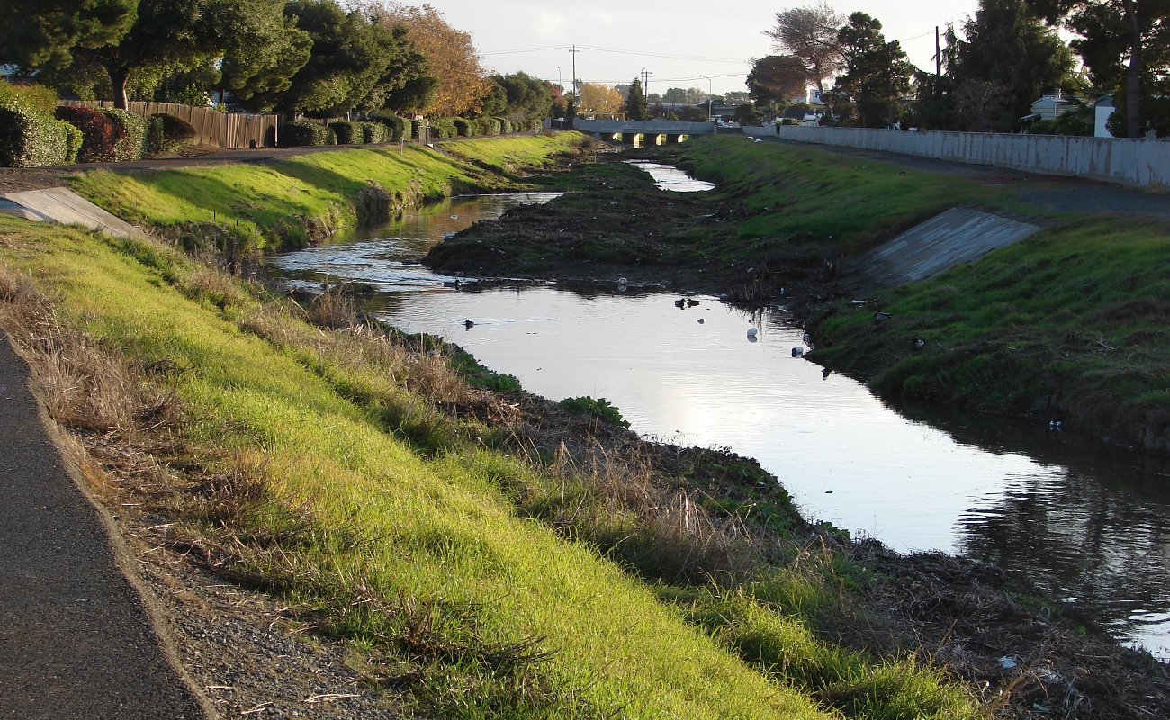 creek with green grassy banks