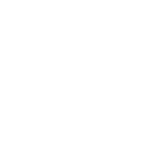 x icon