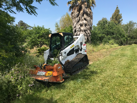 brush removal with heavy equipment
