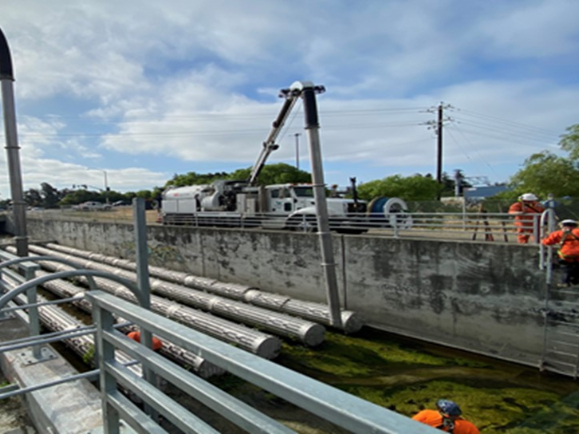 trash capture device clean-up