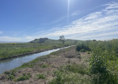 Ardenwood Creek – FC5-230